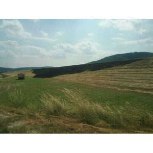 fotografia